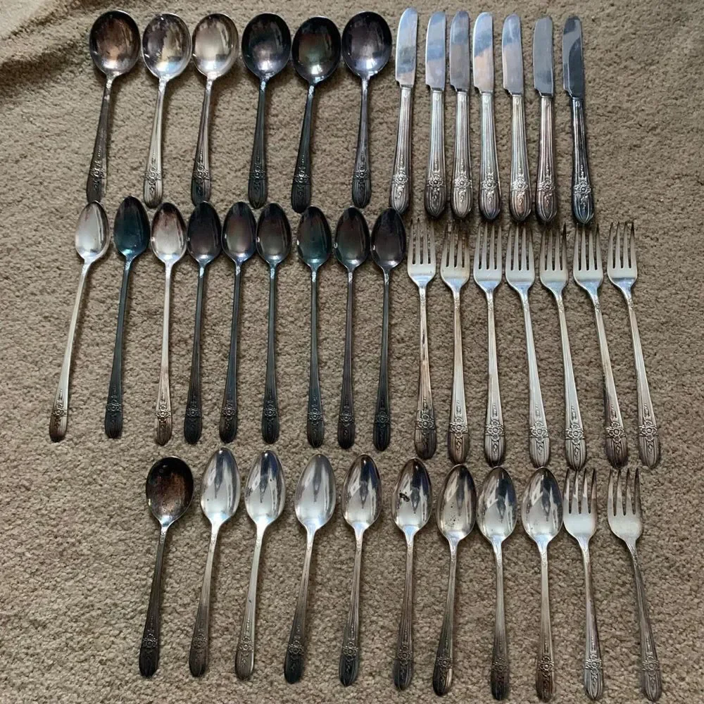 Wm Rogers Mfg. Co. Extra Plate IS TRIUMPH 40 Piece Flatware Set